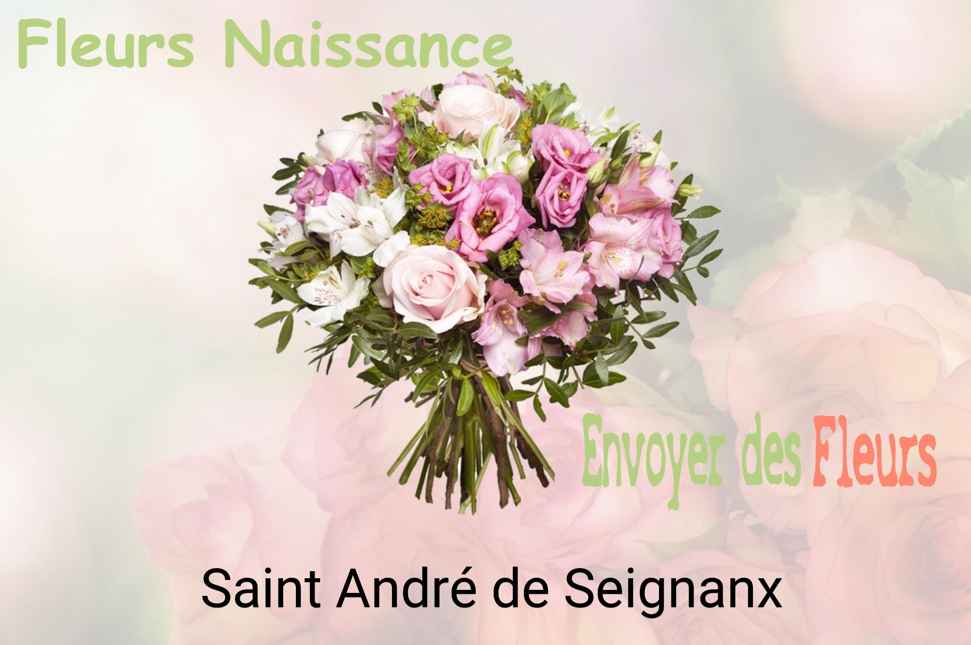 Bouquet de fleurs de naissance livré à Saint-André-de-Seignanx
