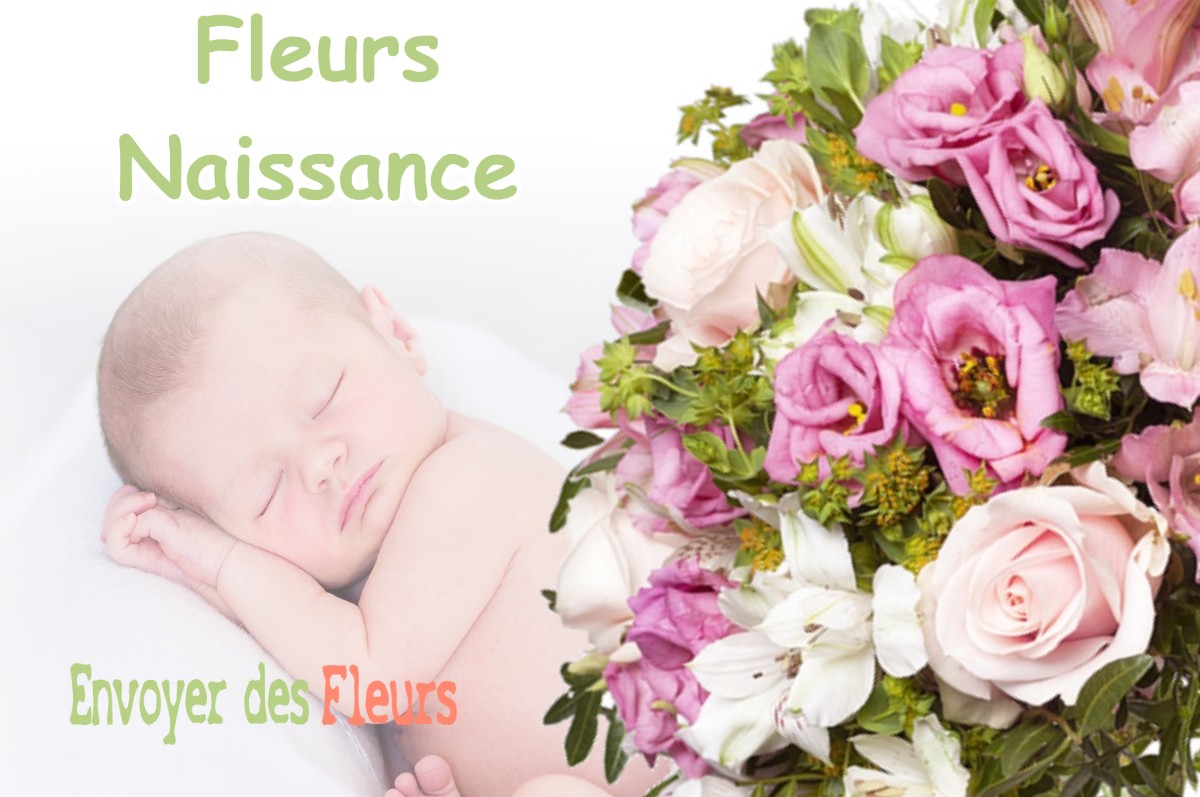 lIVRAISON FLEURS NAISSANCE à SAINT-ANDRE-DE-SEIGNANX